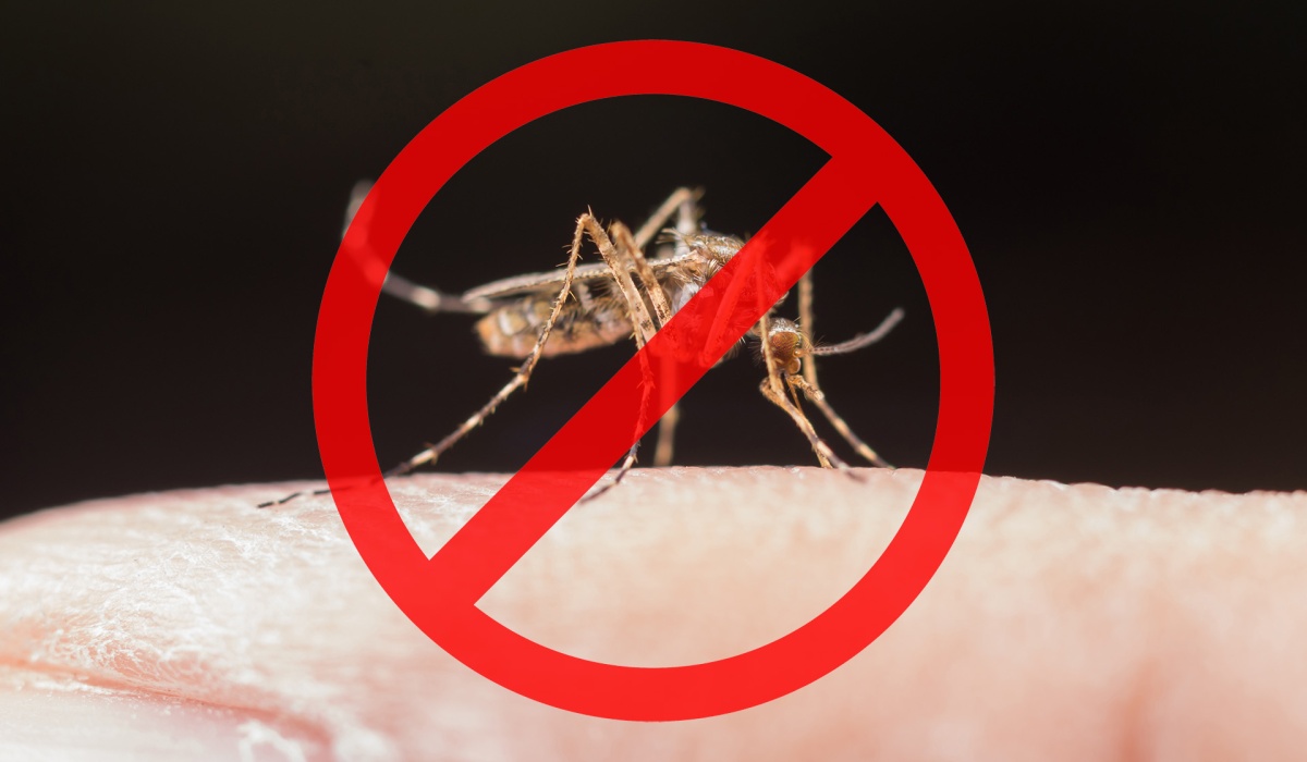 Értesítés földi szúnyoggyérítésről
